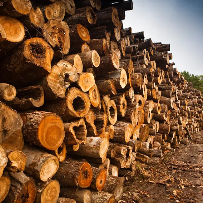 Seven steps for designing, implementing and measuring impactful environmental initiatives in board and paper mills
